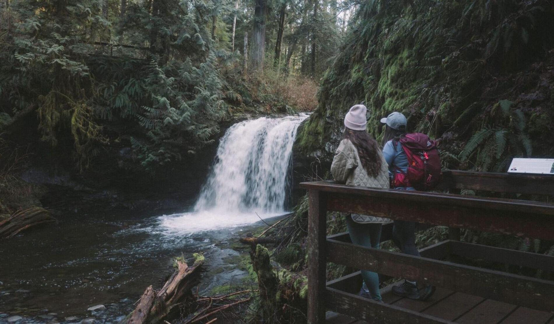 Cowichan Valley Guest Cottage Ледисмит Экстерьер фото